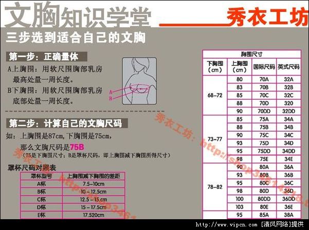 内衣尺码明细表_衣服尺码对照表(3)