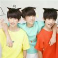 tfboysݳ2016Ʊ