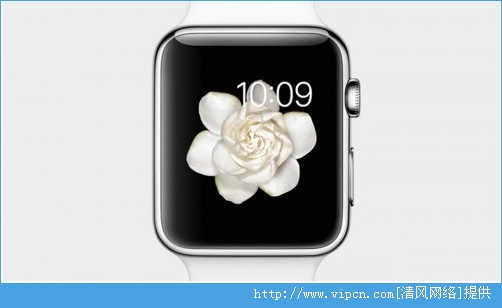 Apple WatchϸͼģApple Watchٷͼ[ͼ]ͼƬ5