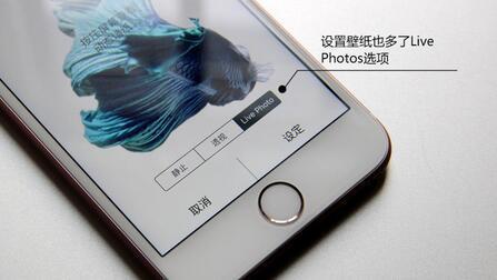 iPhone6slive photo̬ͼƬ live photo̬[ͼ]