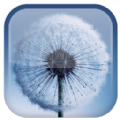 Galaxy S3ѹӢֻֽ̬ v1.5.9