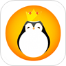 QQܼ2016°  v11.8