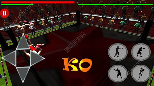 Boxing War 3DϷͼƬ2