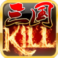 kill4.9ƽ浵°