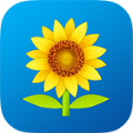 Ͷapp  v1.0.3