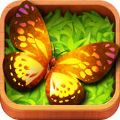 Butterfly GOĺ  v1.0