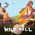 Wild Ballƽ