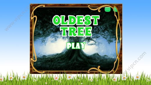 Oldest TreeϷͼ5