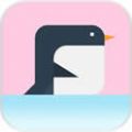 죨Penguin On Iceİ׿  v1.1