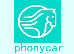 Ponycar