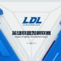 2017LDLְҵֱ