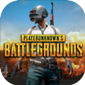 Playerunknowns Battlegrounds