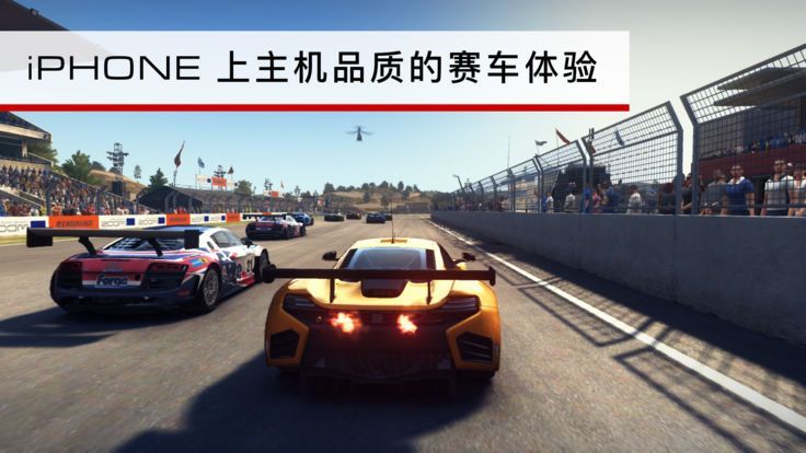 GRID AutosportͼƬ1