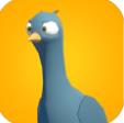 Ϯ׿棨Pigeons Attack v1.0