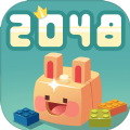 2048ӴϷ׿ v1.0