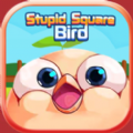 ޴ķStupid Square BirdϷ׿ v1.0