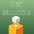 Box SurviveϷ