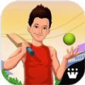 СİGully Cricket׿  v1.0