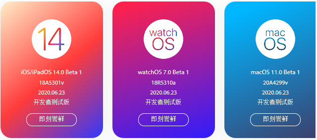 iPadOS14԰betaͼƬ1