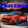 ҰGT500ƯģϷٷ v1.0