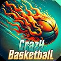 Crazy Basketball Slam Dunk apk