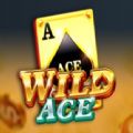 Wild Ace jili slot apk