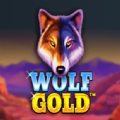 Wolf Gold slot apk para androi