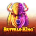 Buffalo King slot apk para android  1.0.0