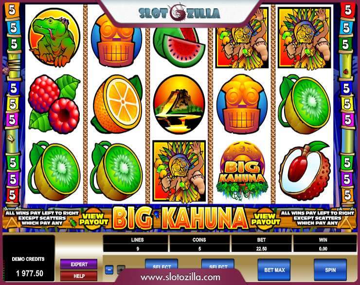 Big Kahuna slot apk para android  1.0.0 screenshot 3