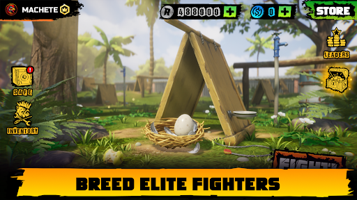 Rooster Fights mod apk dinheiro ilimitado compra gratuita图片1