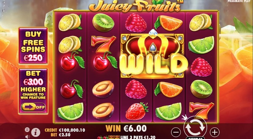 Juicy Fruits slot apk para android  1.0.0 screenshot 3