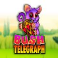 Bush Telegraph slot apk para android  1.0.0