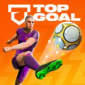 Top Goal Be A Soccer Champion