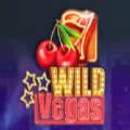 Wild Vegas slot apk para android  1.0