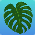 Plant Therapy NYC Edition Apk