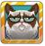 ŭè׿棨Angry Cat Jump v1.0.3